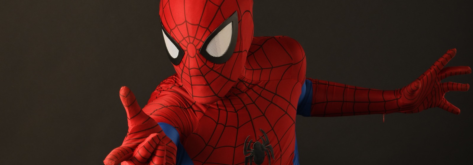 Realistic Superheroes Toronto Superhero For Hire